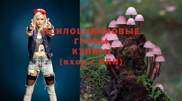 МДПВ Балахна