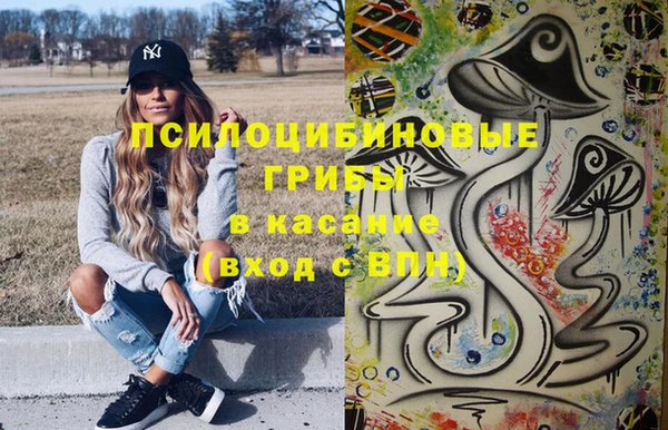 твердый Лагань