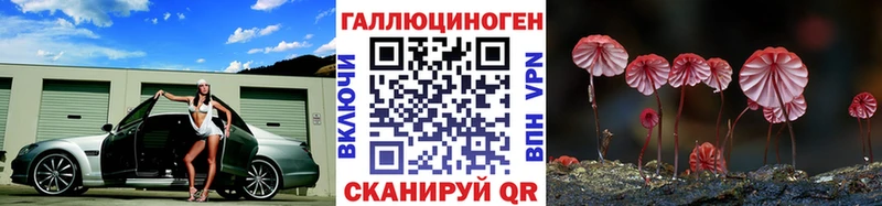 ОМГ ОМГ маркетплейс  Кунгур  Псилоцибиновые грибы ЛСД  наркота 